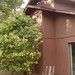 Teri House Photo 16
