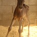 Ron Magee Photo 13