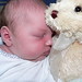 Abigail Alexander Photo 16
