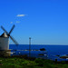 Don Fox Photo 6