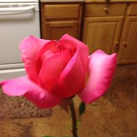 Kimberly Arndt Photo 19