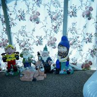 Janet Giese Photo 14