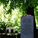 Samuel Snider Photo 27
