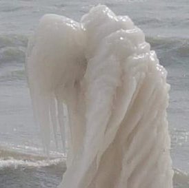 Dianne Nelson Photo 25