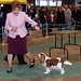 Carol Nickels Photo 8