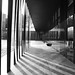 Rafael Quiles Photo 12