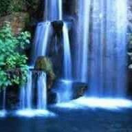 Tracy Cook Photo 12
