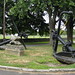 Adam Garrison Photo 17