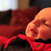 Michael Berube Photo 10