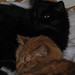 Willie Archie Photo 9