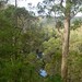 Margaret Forrest Photo 28