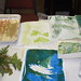 Judy Townsend Photo 13