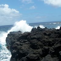 Edith Reynolds Photo 9
