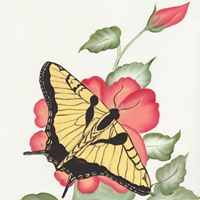 Linda Kidd Photo 11