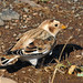 John Latimer Photo 46