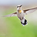 Kathleen Reeder Photo 4