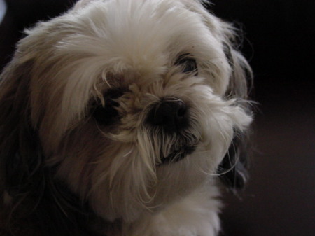 Peggy Davis Photo 36
