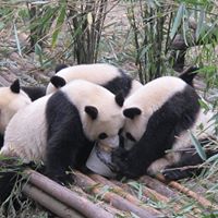 Margaret Tsai Photo 20