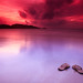 Ray Hamad Photo 12