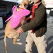 Ed Sager Photo 17