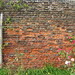 Henry Wall Photo 10