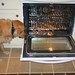 Bob Cook Photo 37