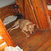 Lisa Earnest Photo 18