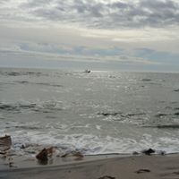 Nancy Moyer Photo 12