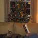 Carolyn Kramer Photo 20