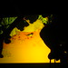 Joshua Davies Photo 16
