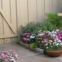 Jeanne Simons Photo 22