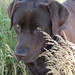 Anita Meadows Photo 11