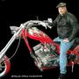 Dennis Arnold Photo 43