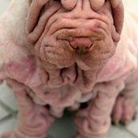 Ginger Snyder Photo 26