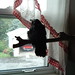 Edgar Crow Photo 2