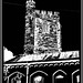 Patricia Towers Photo 10