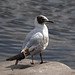 Dale Kirby Photo 22
