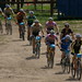 Bruce Collins Photo 36