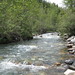 Richard Janzen Photo 21