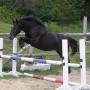 Catherine Hagan Photo 22