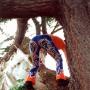 Jessica Abrahams Photo 8