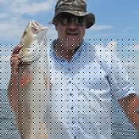 David Falgout Photo 1