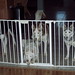 Sonya Bell Photo 26