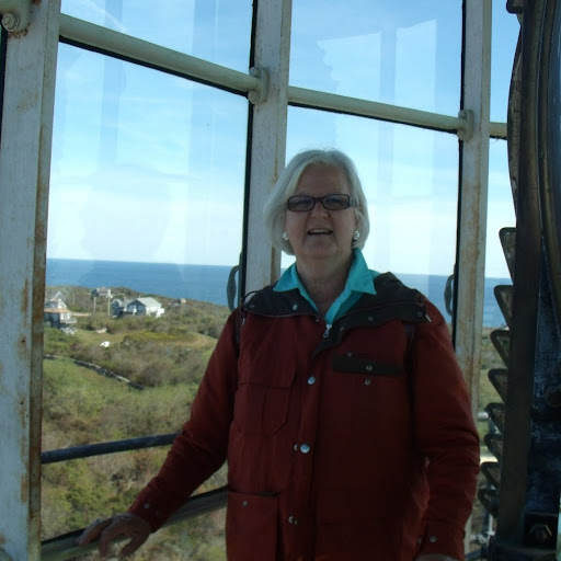 Sandra Healey Photo 17