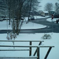 William Layfield Photo 21