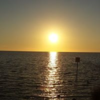Darlene Wolfe Photo 10