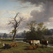 Thomas Baker Photo 16