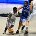 Andre Collins Photo 41