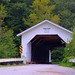 James Comstock Photo 15