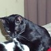 Debbie Bradford Photo 24